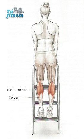 extensão dos gémeos