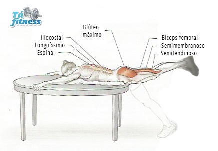 hiperextensão do tronco inversa
